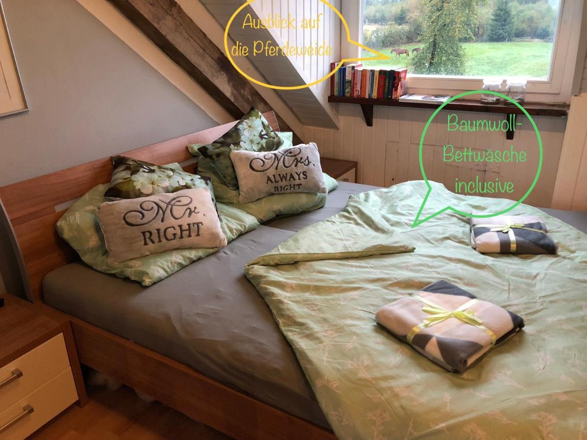 Hof Vierzehnender Im Hohen Venn - 70qm Fachwerk-studio - Grosses Wohn-schlafzimmer Mit Dachterrasse Und Kaminofen - Separate Kueche - Perfekt Fuer Paare - - Eifel - Hunde Willkommen - Islandpferde * Monschau