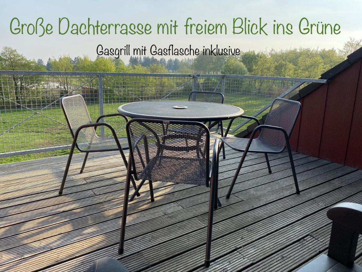 Hof Vierzehnender: Eifel Mit Dachterrasse Und Kamin Apartment *