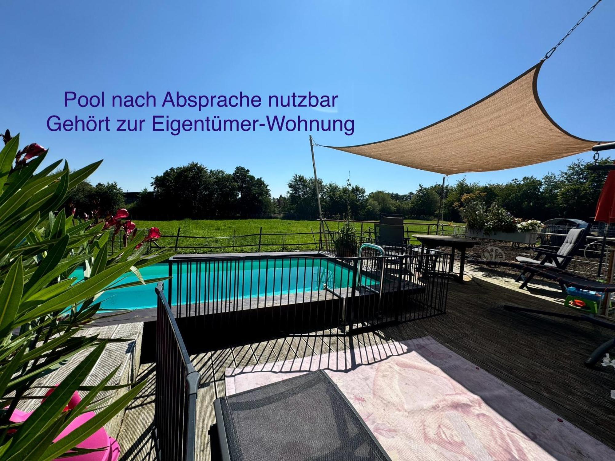 Hof Vierzehnender Im Hohen Venn - 70qm Fachwerk-studio - Grosses Wohn-schlafzimmer Mit Dachterrasse Und Kaminofen - Separate Kueche - Perfekt Fuer Paare - - Eifel - Hunde Willkommen - Islandpferde