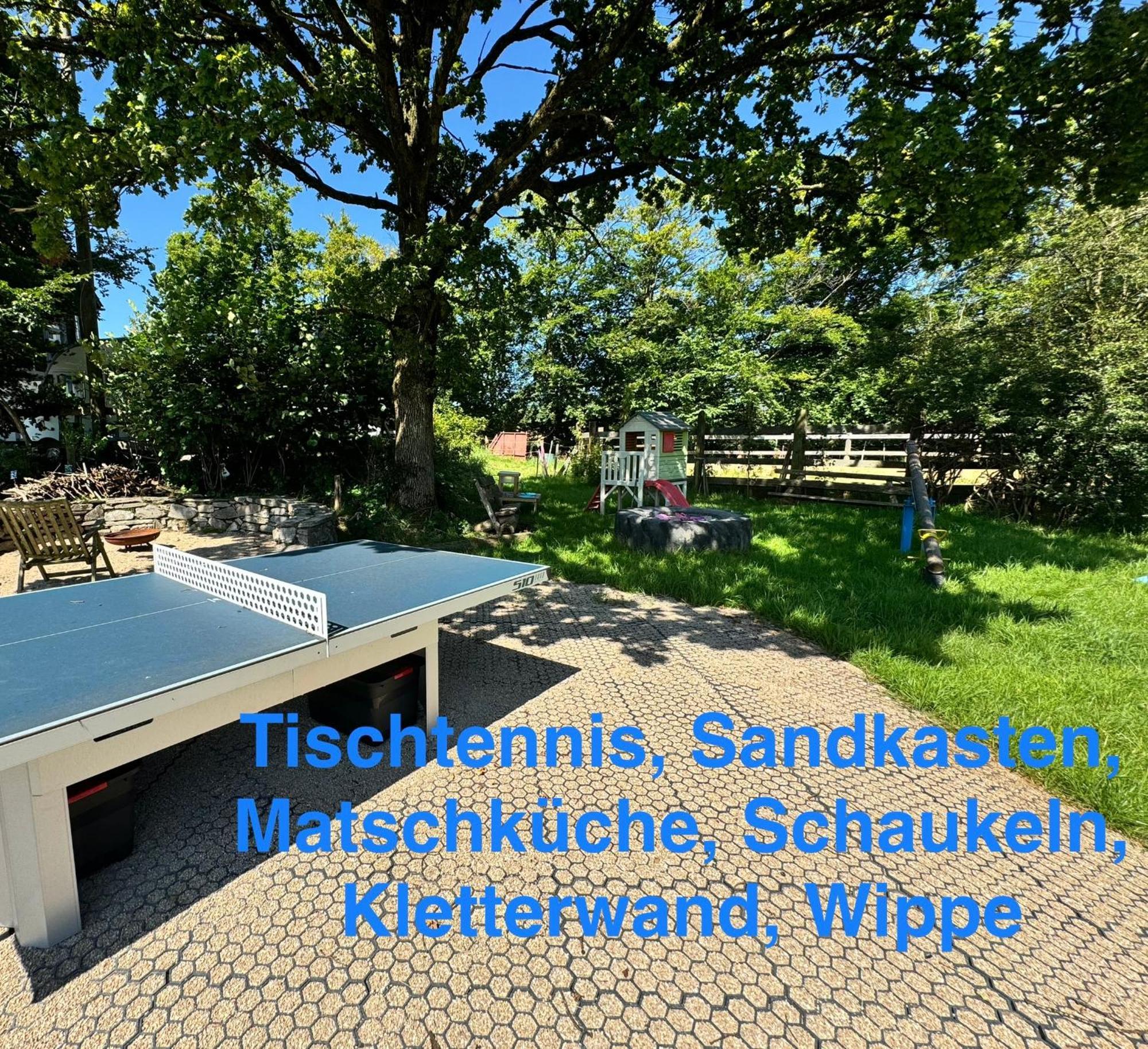Hof Vierzehnender: Eifel Mit Dachterrasse Und Kamin Apartment *