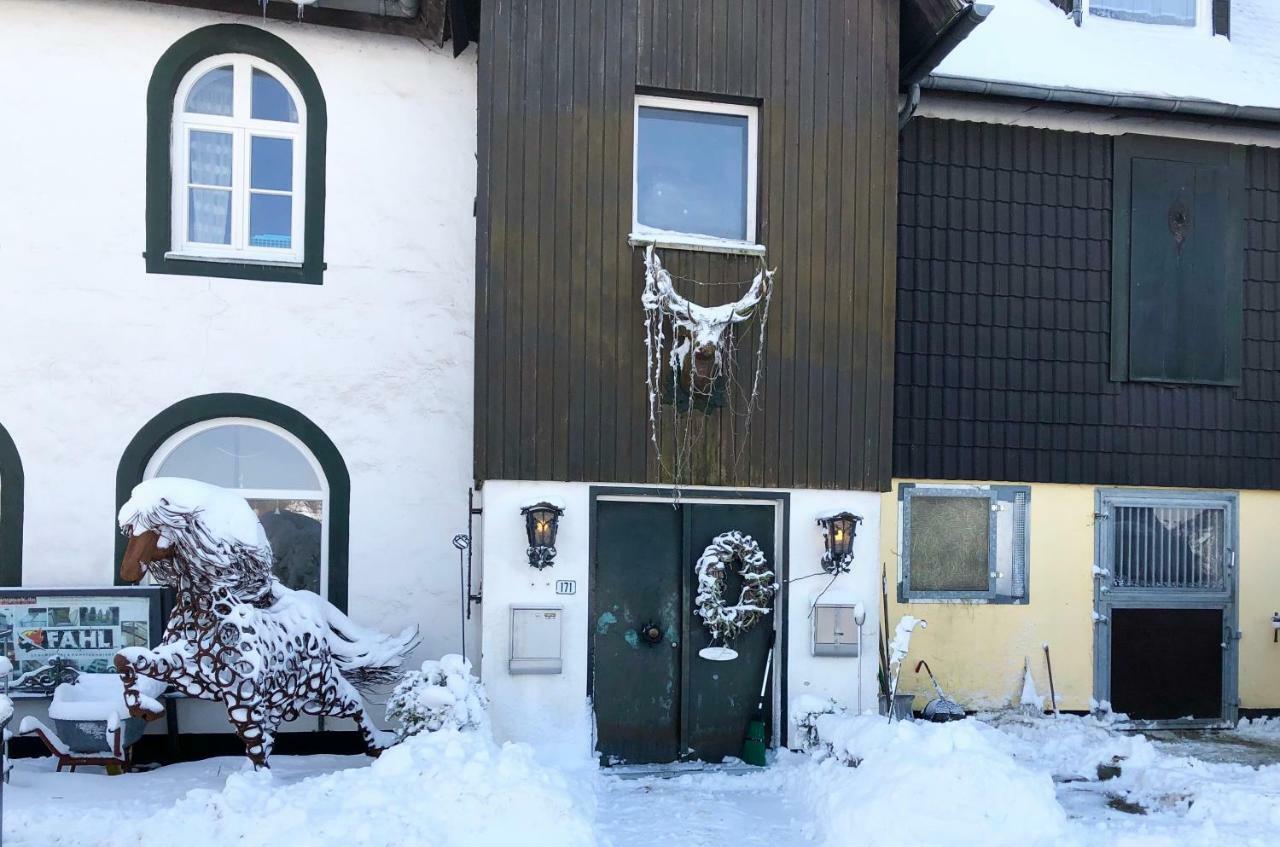 Hof Vierzehnender Im Hohen Venn - 70qm Fachwerk-studio - Grosses Wohn-schlafzimmer Mit Dachterrasse Und Kaminofen - Separate Kueche - Perfekt Fuer Paare - - Eifel - Hunde Willkommen - Islandpferde *
