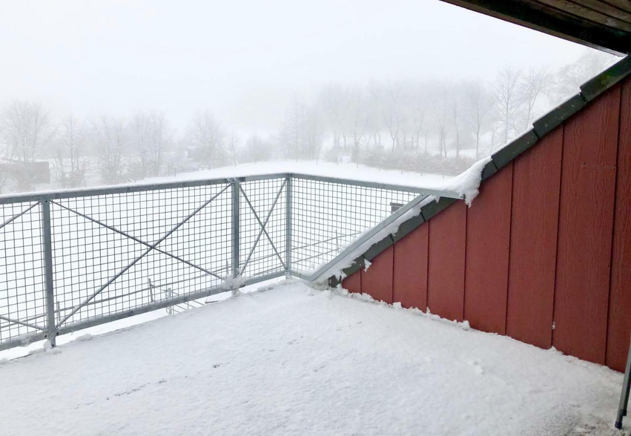 Hof Vierzehnender: Eifel Mit Dachterrasse Und Kamin Apartment *